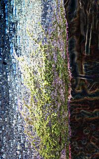 IMG_3672_t4